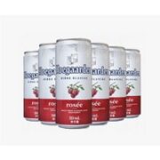 Hoegaarden 福佳 Rosée福佳啤酒玫瑰红啤酒精酿风味果味啤酒310ml*6听罐装