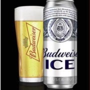 Budweiser 百威 冰啤酒 500ml*18听 整箱装