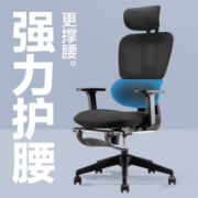 PLUS会员！YANXUAN 网易严选 S5 小蛮腰电脑椅 基础款