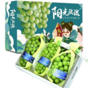 阳光玫瑰葡萄 6斤礼盒装