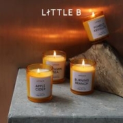 S低野兽派 LITTLEB香薰精油100g