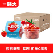 一颗大 ™ 樱桃番茄 生吃小西红柿 0转基因 0催熟 现摘水果番茄 350g*4盒