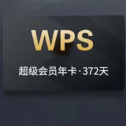 WPS超级会员一年 12个月
