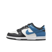 京东百亿补贴：NIKE 耐克 Dunk Low 低帮板鞋 DD1503-101