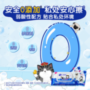 维达湿厕纸吾皇定制40片X5包+10片X4包家庭装擦屁股洁厕湿巾可冲