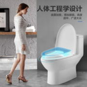plus会员：ARROW箭牌 抽水马桶 家用虹吸坐便器 AE1126M