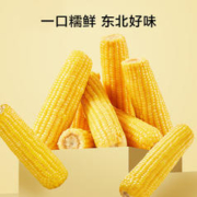 京东京造 鲜食糯玉米 2.4kg