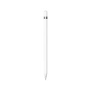 Apple Pencil (第一代) 含USB-C转换器【适用iPad mini5/iPad Air3/iPad 10.2英寸(第九/十代)】