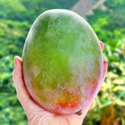 珞宴 四川攀枝花凯特芒果 9斤装 特大果王600g-1000g