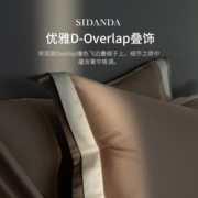SIDANDA诗丹娜200支高奢全棉四件套床单式五星级酒店纯棉床上用品 流沙金 适用1.8m床，搭配220*240cm被芯