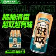 珠江啤酒 11度 珠江识叹啤酒 500ml*12听 整箱装