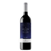 桃乐丝（Torres）精选星空红葡萄酒750ml 单支装 14%西班牙进口高端红酒原装干红