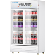 SNOWBEER 雪花 SNOWFLK）商用冰柜冰箱保鲜柜 双门直冷展示柜铜