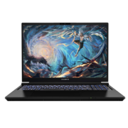 PLUS会员、有券的上、需首单礼金：七彩虹（Colorful）将星X16Pro16.1英寸游戏本 i9-13900H+4060 240Hz  16G/512固态 曜影黑