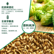 雪花啤酒全麦5号500ml*12听整箱 全麦芽12.5高麦汁浓度短保更新鲜