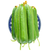 芬果时光 新鲜水果小黄瓜无刺黄瓜 约2.3-2.5kg 新鲜蔬菜