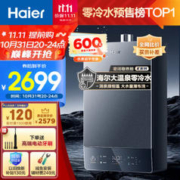 Haier 海尔 大温泉系列 JSQ31-16KT5FPRCU1 燃气热水器 16L
