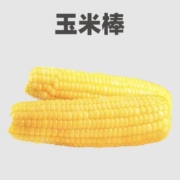 官方补贴95%！东北玉米棒单件装1元包邮！