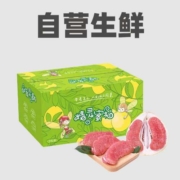 清单：京东自营生鲜直降55%！领199-100生鲜券！