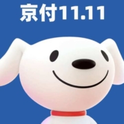 每天9点、促销：限量领222元无门槛京东支付券！京东联名卡福利！