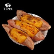 0.1元3款加购 沙地龙九蜜薯1.5斤