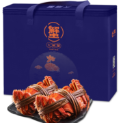 【活蟹】上麟记 大闸蟹鲜活螃蟹礼盒 全母蟹2.5 -2.8两 8只大闸蟹现货中秋礼盒国庆礼品