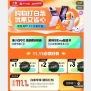 双11好券：京东 满19-1、49-2、99-3元 三档白条支付券