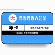 哔哩哔哩 bilibili大VIP会员 1年卡