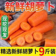 京喜特价APP、有券的上：城南堡花 胡萝卜 现挖现发 9斤