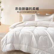 BLISS 百丽丝 柔暖抗菌新疆棉花被 200cm*230cm