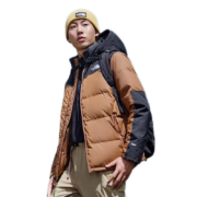 京东百亿补贴：北面 550蓬防泼水羽绒服