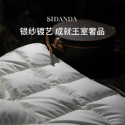 SIDANDA匈牙利95白鹅绒被羽绒冬被女王被子进口高奢银棉春秋被芯 高奢银棉95白鹅绒 春秋被 200*230cm