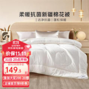 BLISS 百丽丝 柔暖抗菌新疆棉花被 200cm*230cm