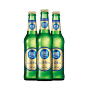崂山啤酒青岛崂山啤酒经典金麦316ml*24瓶*4件（赠2件同款）