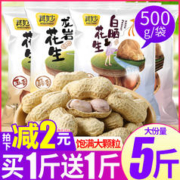 其妙 龙岩花生蒜香味五香水煮花生米带壳白晒干炒货熟特产零食散装批发