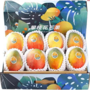 花音谷 四川攀枝花凯特芒 9斤 特大果 单果（600g+）