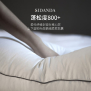 SIDANDA 95白鹅绒枕头五星级酒店羽绒枕芯100支全棉柔软舒适回弹 2023年升级款回弹枕 低枕【48*74CM】