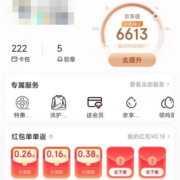 PLUS会员：京东 红包单单返 实测领到0.99元红包
