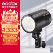 Godox 神牛 AD100Pro TTL外拍闪光灯锂电池高速同步户外人像婚礼便携口袋灯单反相机摄影灯 官方标配