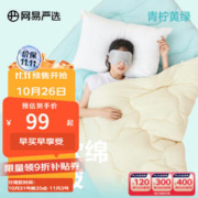 YANXUAN 网易严选 奶盖懒人被空调被青柠黄绿 200*230cm（1.5m床）