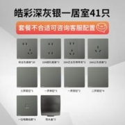 京东PLUS：SIEMENS 西门子 皓彩 开关插座组合面板 深灰银 一居室41只