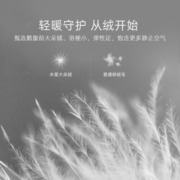 水星家纺清韵素雅抗菌防螨鹅绒冬被单双人白绒吹雪秋冬保暖被芯床上用品 清韵素雅抗菌防螨负离子鹅绒冬被 200X230cm