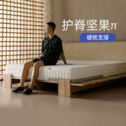 天猫双11预售：栖作 坚果π席梦思儿童护脊椎弹簧记忆棉绵定制分体 24cm 120cm*200cm
