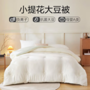 YANXUAN 网易严选 提花大豆被 空调被芯凉被子7A级柔软A类抗菌山茶绿 150*200cm