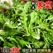 京东百亿补贴：卫青沙窝荠菜新鲜 现挖 4斤装