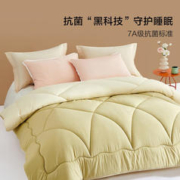 Bliss 百丽丝家纺 抗菌七孔纤维被芯被子 200*230cm(净重约8斤)