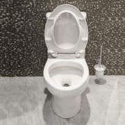 京东PLUS：美标 CCAS1856马桶坐便器