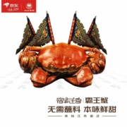【活蟹】宿有千香 鲜活大闸蟹公2.8-3.1两 母1.8-2.1两 4对8只 去绳足重 蟹类礼盒装