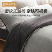 网易严选【新疆棉】天竺棉针织四件套 纯棉床上用品床单床笠被套宿舍学生 【AB面纯色】雾月灰 1.5m床：2x2.3m*床单款