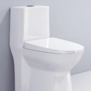 KEJING 柯鲸 家用马桶坐便器 经济款 直冲式+大冲力